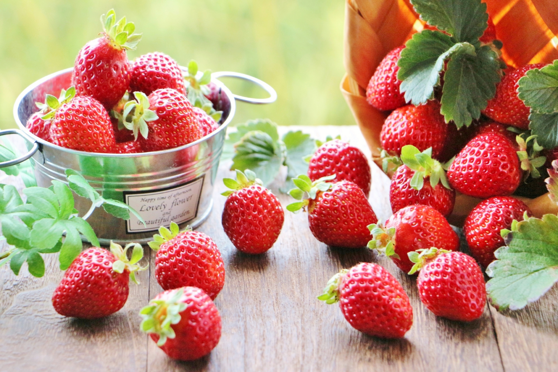 美品 摘みたていちごOP 黒 完熟紅ほっぺ】寒蜜いちご｜きみくらオンラインショップ